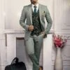 Graceful Green Colour Imported Fabric Mens Designer Suit. -Riwaayat Store 1033522