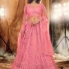 Net Designer Lehenga Choli Pink Colour. -Riwaayat Store f102714