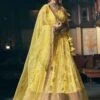 Net Fabric Wedding Lehenga Choli Yellow Colour. 2 Net Fabric Wedding Lehenga Choli Yellow Colour. -Riwaayat Store f202602
