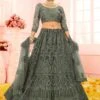 Green Colour Net Fabric Lehenga Choli With Embroidery,Stone Work. -Riwaayat Store f205814c