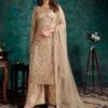 Beige Colour Net Fabric Designer Palazzo Salwar Suit. 2 Beige Colour Net Fabric Designer Palazzo Salwar Suit. -Riwaayat Store f230733a