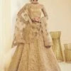 Golden Colour Net Fabric Designer Lehenga Choli. 1 Golden Colour Net Fabric Designer Lehenga Choli. -Riwaayat Store f231701e