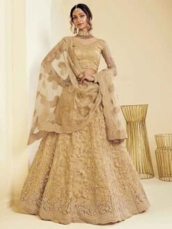Golden Colour Net Fabric Designer Lehenga Choli.