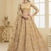 Golden Colour Net Fabric Indian Designer Lehenga. 1 Golden Colour Net Fabric Indian Designer Lehenga. -Riwaayat Store f231704e