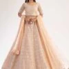 Beautiful Peach Colour Net Fabric Designer Lehenga Choli. -Riwaayat Store f238752