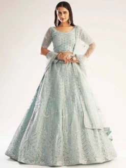 Blue Colour Net Fabric Designer Women Lehenga Choli.