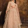 Peach Colour Net Fabric Women Anarkali Salwar Kameez. 2 Peach Colour Net Fabric Women Anarkali Salwar Kameez. -Riwaayat Store f99704