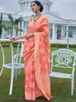 Peach Party Wear Chikankari Saree