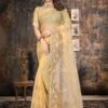 Yellow Embroidered Net Sari With Blouse -Riwaayat Store p2208sr06