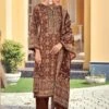 Brown Printed Salwar Kameez In Velvet -Riwaayat Store p3024sl05