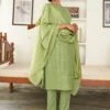 Green Embroidered Suit In Pant Style 1 Green Embroidered Suit In Pant Style -Riwaayat Store p3182sl02 3