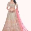 Off White Net Lehenga Choli With Embroidery -Riwaayat Store p4017lc02