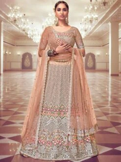 Beige Designer Net Lehenga Choli With Embroidery