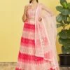 Pink Shaded Embroidered Lehenga Choli With Blouse -Riwaayat Store p4097lc05