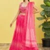 Pink Pleated Patterns Lehenga With Embroidered Blouse 2 Pink Pleated Patterns Lehenga With Embroidered Blouse -Riwaayat Store p4097lc10