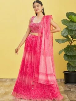 Pink Pleated Patterns Lehenga With Embroidered Blouse