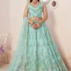 Blue Lehenga Choli With A Line Styled In Net -Riwaayat Store p4104lc10