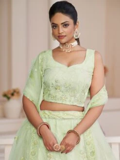 Green Net A Line Lehenga Choli With Embroidery -Riwaayat Store p4104lc13 1