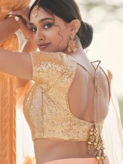 Peach Embroidered Lehenga With Sequined Choli -Riwaayat Store p4109lc02 2