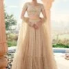 Beige Zari Embroidered Engagement Lehenga Set In Net -Riwaayat Store p4109lc08