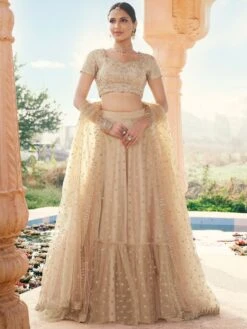 Beige Zari Embroidered Engagement Lehenga Set In Net