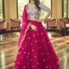 Pink Lehenga With Embroidered Choli In Net -Riwaayat Store p4111lc04