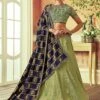 Green Woven Lehenga With Embroidered Blouse -Riwaayat Store p4114lc04