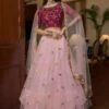 Pink Zari Embellished Net Lehenga With Choli -Riwaayat Store p4124lc01