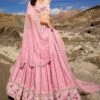 Pink Mirror & Thread Work Lehenga Choli -Riwaayat Store p4126lc04