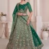 Green Zari Work Augmented Net Lehenga Choli -Riwaayat Store p4135lc02