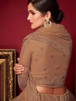 Brown Stone Designed Net Lehenga With Blouse -Riwaayat Store p4139lc04 2
