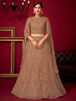 Brown Stone Designed Net Lehenga With Blouse