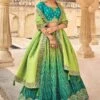 Green Shaded Lehenga Choli In Gota Patti Work 2 Green Shaded Lehenga Choli In Gota Patti Work -Riwaayat Store p4144lc13 3