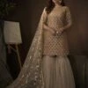 Soft Net Beige Colour Designer Sharara Salwar Suit. -Riwaayat Store prc1031