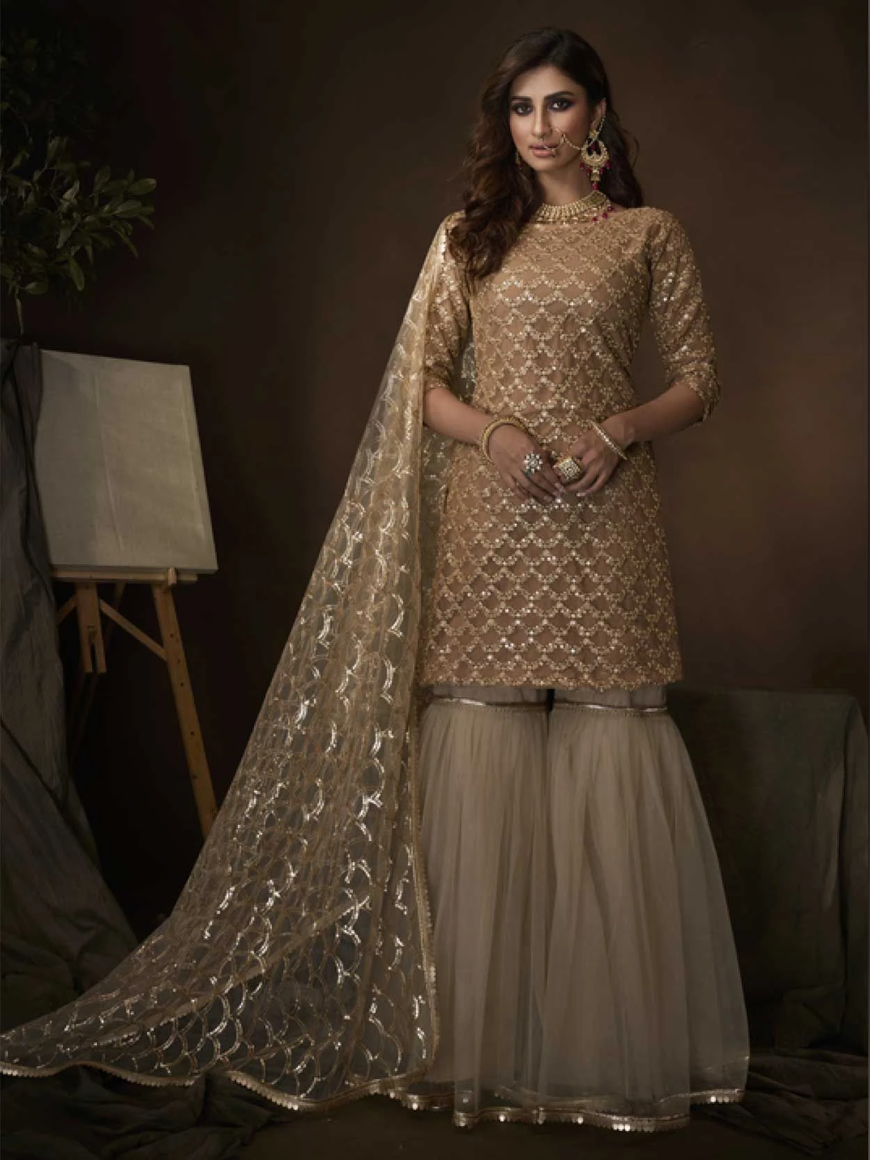 Soft Net Beige Colour Designer Sharara Salwar Suit. 3 Soft Net Beige Colour Designer Sharara Salwar Suit.