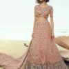 Peach Colour Net Women Lehenga In Sequin Work. -Riwaayat Store prc1130