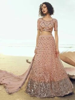 Peach Colour Net Women Lehenga In Sequin Work.