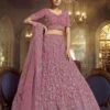 Pink Colour Soft Net Designer Lehenga Choli. -Riwaayat Store prc1416