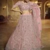Pink Colour Soft Net Designer Lehenga. -Riwaayat Store prc1421
