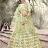 Pista Green Colour Net Designer Lehenga. -Riwaayat Store prc1614