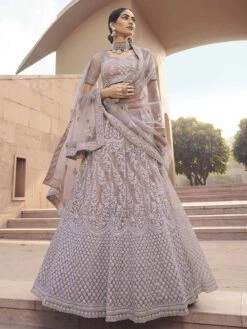 Net Women Lehenga Choli In Mauve Colour.
