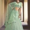 Green Colour Net Designer Women Lehenga Choli. 2 Green Colour Net Designer Women Lehenga Choli. -Riwaayat Store prc2060