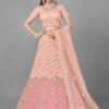 Peach Colour Net Designer Lehenga Choli. -Riwaayat Store prc2114