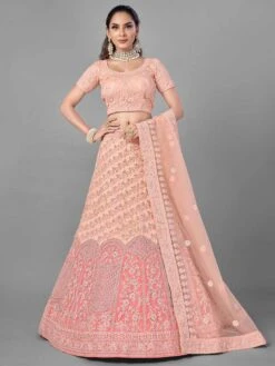 Peach Colour Net Designer Lehenga Choli.