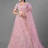 Women Lehenga Choli Pink Colour Net Fabric. -Riwaayat Store prc2120