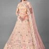 Peach Colour Net Fabric Women Lehenga Choli. -Riwaayat Store prc2130