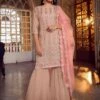 Peach Colour Designer Sharara Salwar Suit In Organza Fabric. -Riwaayat Store prc2147