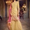 Beige Colour Women Sharara Salwar Suit In Organza Fabric.