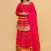 Pink Colour Women Lehenga Choli In Art Silk Fabric. -Riwaayat Store prc3712