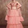 Peach Colour Net Wedding Lehenga Choli. -Riwaayat Store prc3769